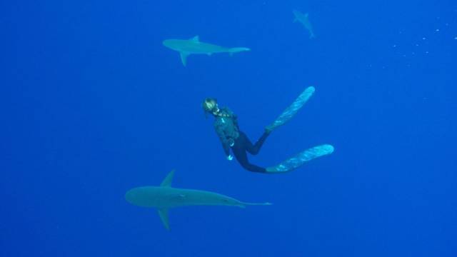 daily picdump 101 pics 7.html - 101 HD Photos | Premium Gallery 2018