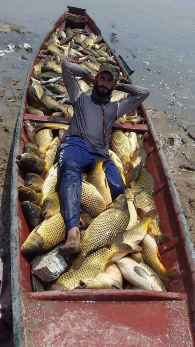 daily picdump 101 pics 7.html - 101 HD Photos | Premium Gallery 2018