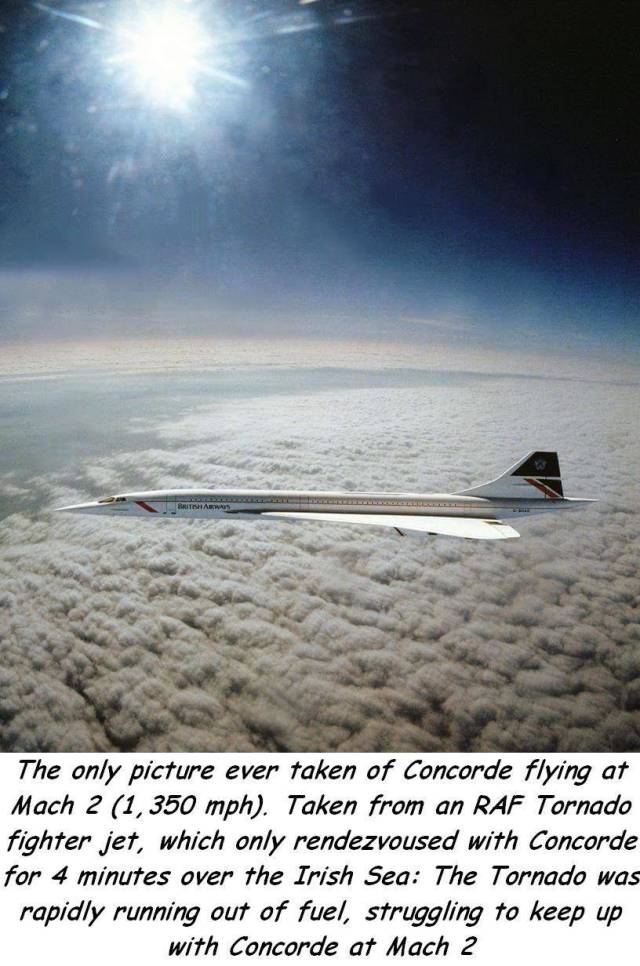 daily picdump 101 pics 7.html - 101 HD Photos | Premium Gallery 2018