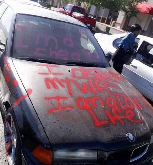 daily picdump 101 pics 7.html - 101 HD Photos | Premium Gallery 2018