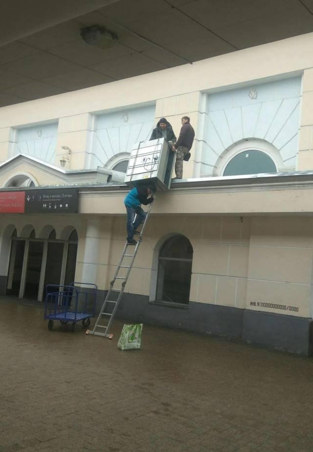 daily picdump 101 pics 7.html - 101 HD Photos | Premium Gallery 2018