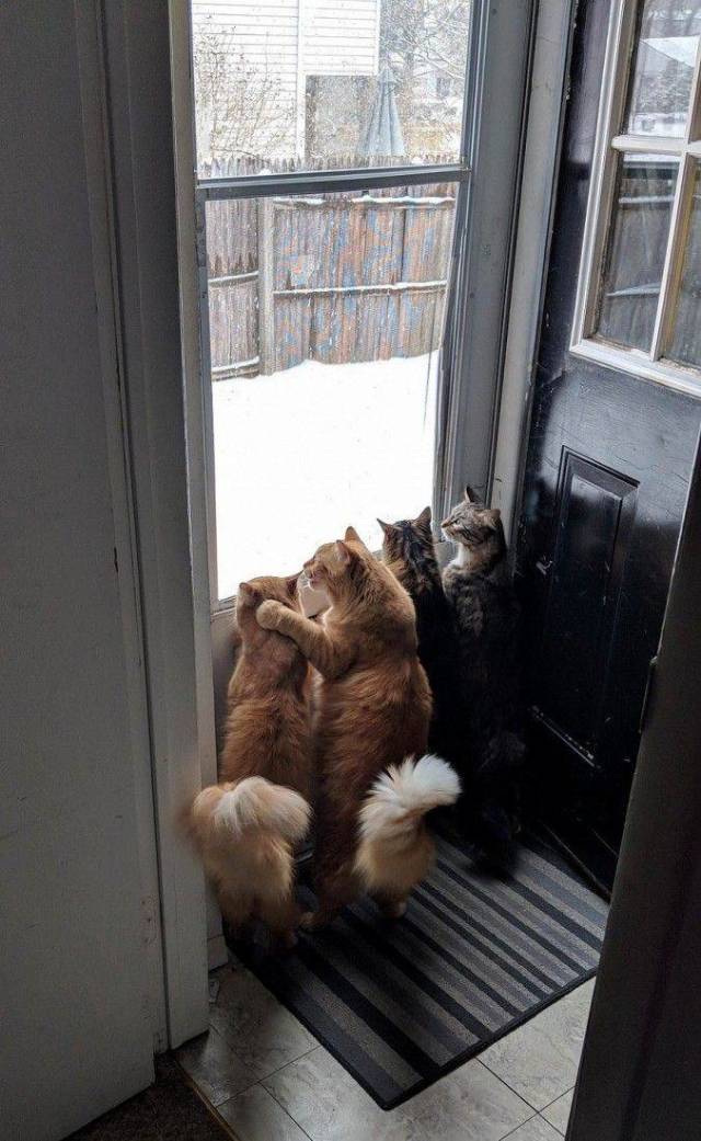 daily picdump 101 pics 7.html - 101 HD Photos | Premium Gallery 2018