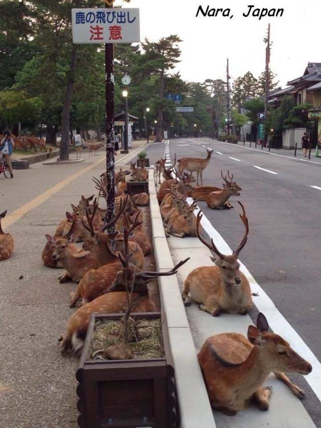 daily picdump 101 pics 7.html - 101 HD Photos | Premium Gallery 2018