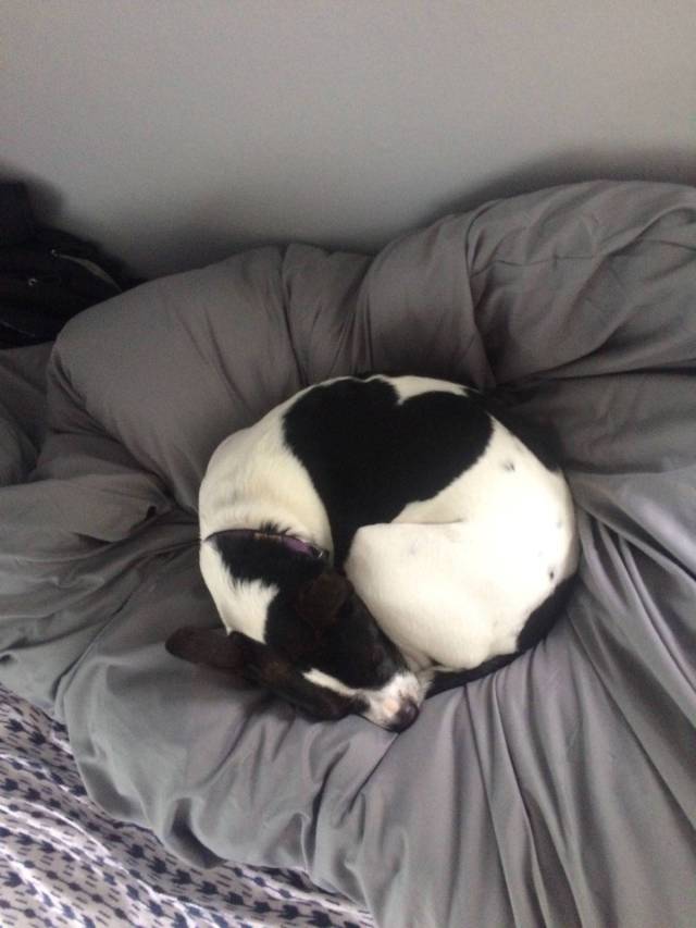 daily picdump 101 pics 7.html - 101 HD Photos | Premium Gallery 2018