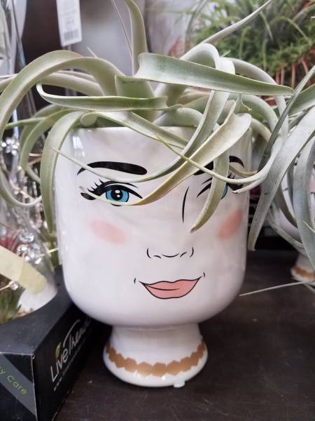 morning picdump 56 pics 7.html - 56 HD Photos | Premium Gallery 2018