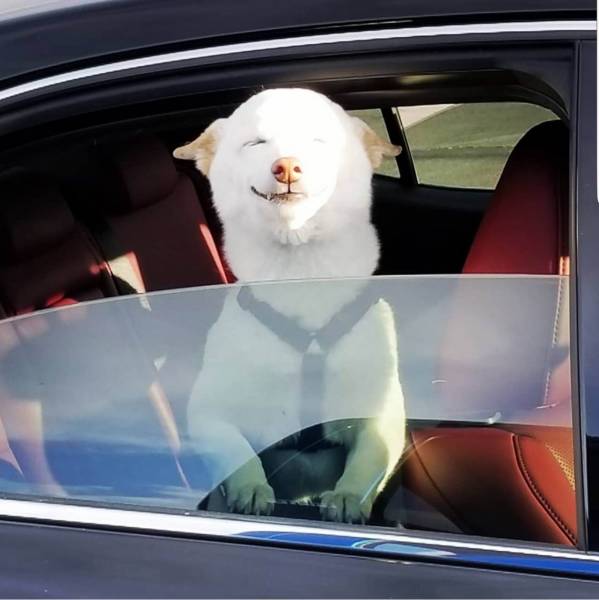 Daily Picdump