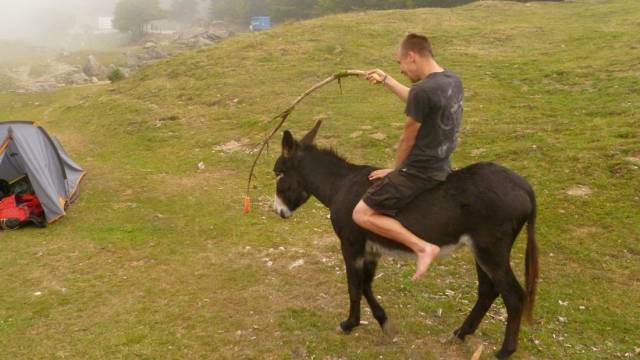 daily picdump 101 pics 32.html - 101 HD Photos | Premium Gallery 2018