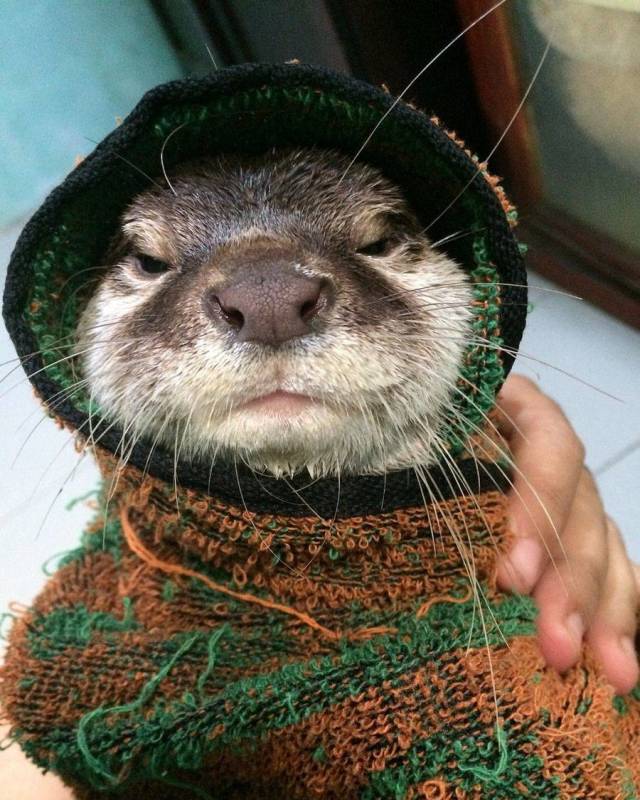 daily picdump 101 pics 32.html - 101 HD Photos | Premium Gallery 2018