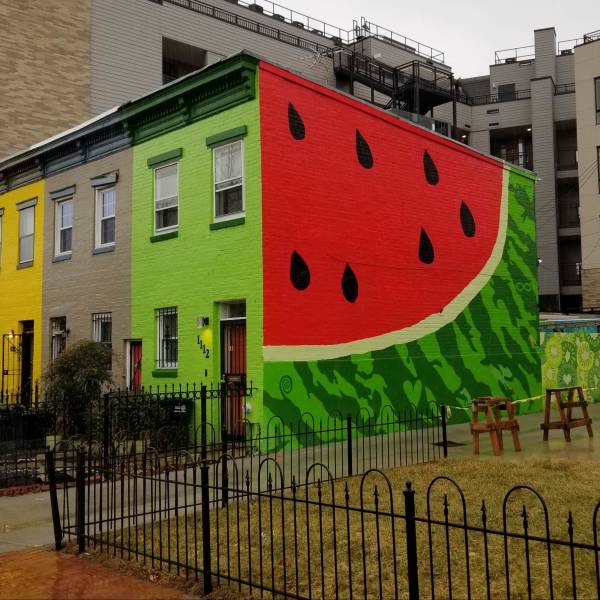 Morning Picdump