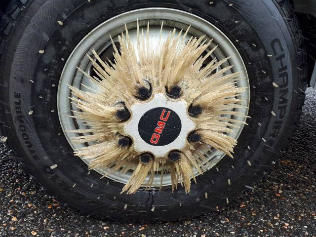 morning picdump 50 pics 22.html - 50 HD Photos | Premium Gallery 2018