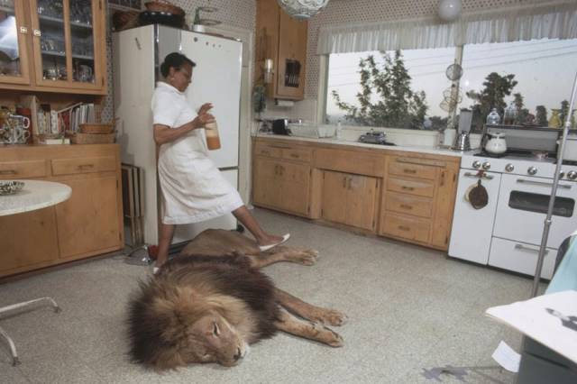 morning picdump 50 pics 22.html - 50 HD Photos | Premium Gallery 2018