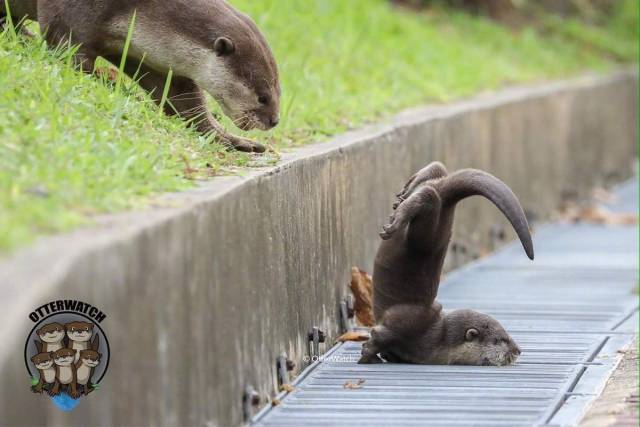 daily picdump 95 pics 28.html - 95 HD Photos | Premium Gallery 2018