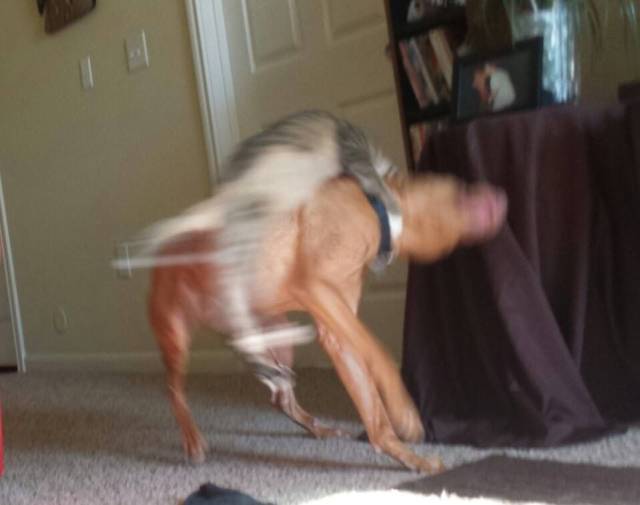 daily picdump 95 pics 28.html - 95 HD Photos | Premium Gallery 2018