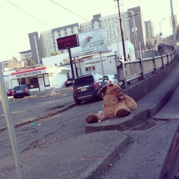 daily picdump 95 pics 28.html - 95 HD Photos | Premium Gallery 2018