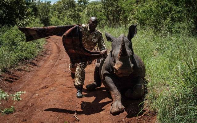 daily picdump 95 pics 28.html - 95 HD Photos | Premium Gallery 2018