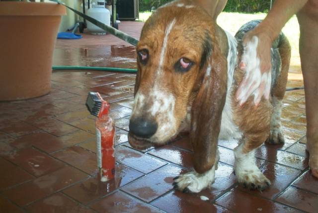 daily picdump 95 pics 28.html - 95 HD Photos | Premium Gallery 2018