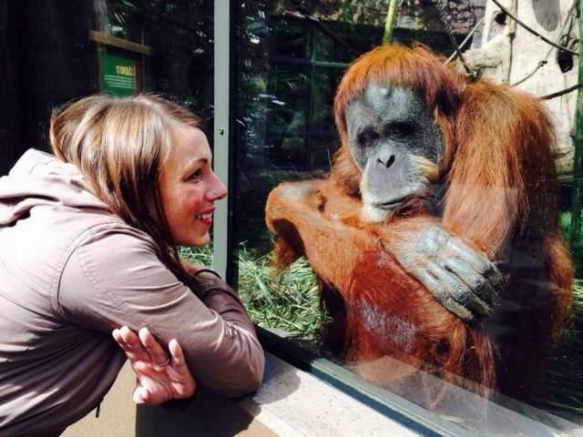 daily picdump 95 pics 28.html - 95 HD Photos | Premium Gallery 2018