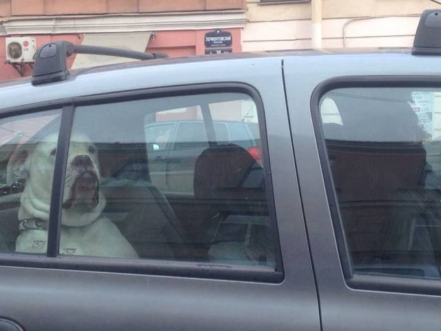 daily picdump 95 pics 28.html - 95 HD Photos | Premium Gallery 2018