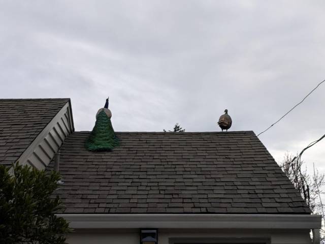 daily picdump 95 pics 28.html - 95 HD Photos | Premium Gallery 2018