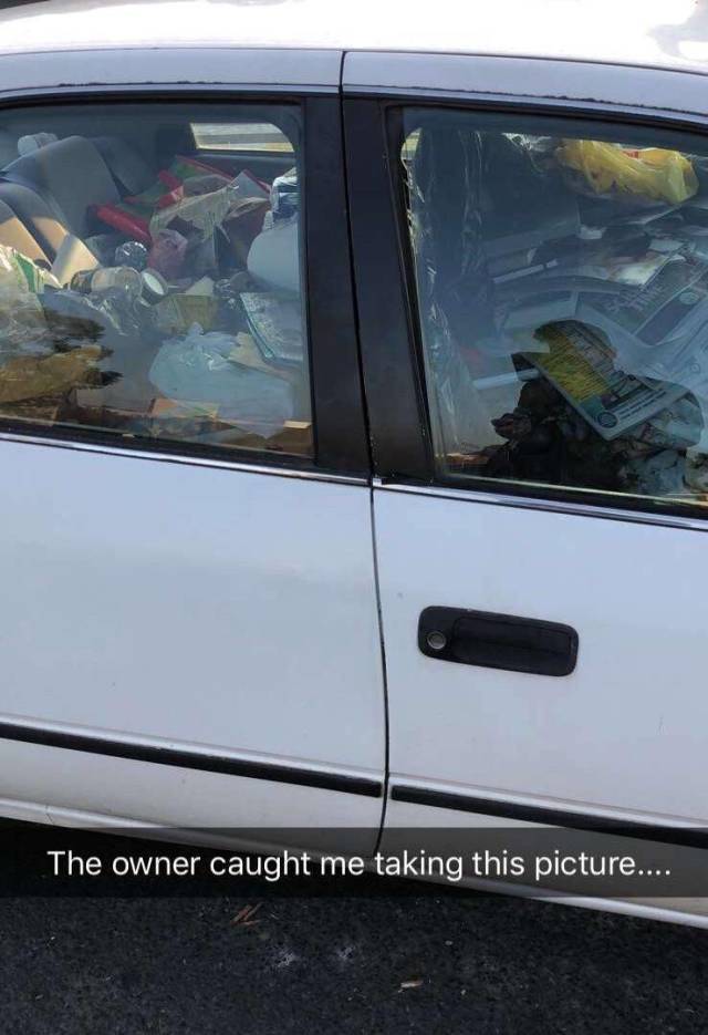 daily picdump 95 pics 28.html - 95 HD Photos | Premium Gallery 2018