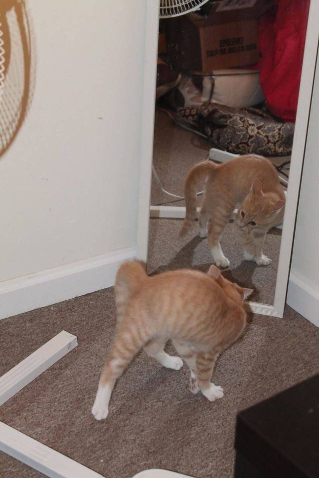 daily picdump 95 pics 28.html - 95 HD Photos | Premium Gallery 2018