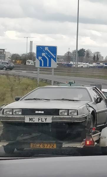 Morning Picdump