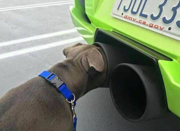Morning Picdump