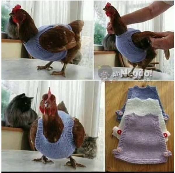 Morning Picdump