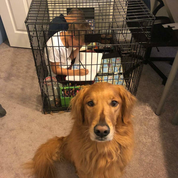 morning picdump 52 pics 4.html - 52 HD Photos | Premium Gallery 2018