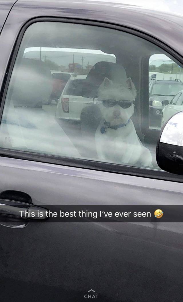 morning picdump 52 pics 4.html - 52 HD Photos | Premium Gallery 2018