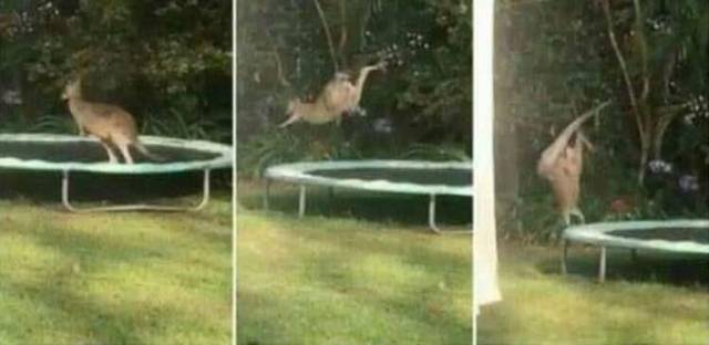 daily picdump weekend edition 62 pics 29.html - 62 HD Photos | Premium Gallery 2018