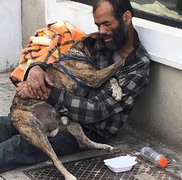 daily picdump weekend edition 62 pics 29.html - 62 HD Photos | Premium Gallery 2018