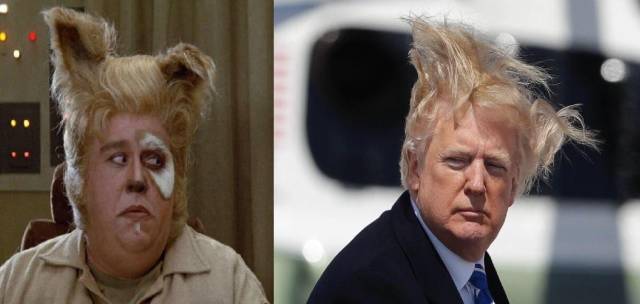 daily picdump weekend edition 62 pics 29.html - 62 HD Photos | Premium Gallery 2018