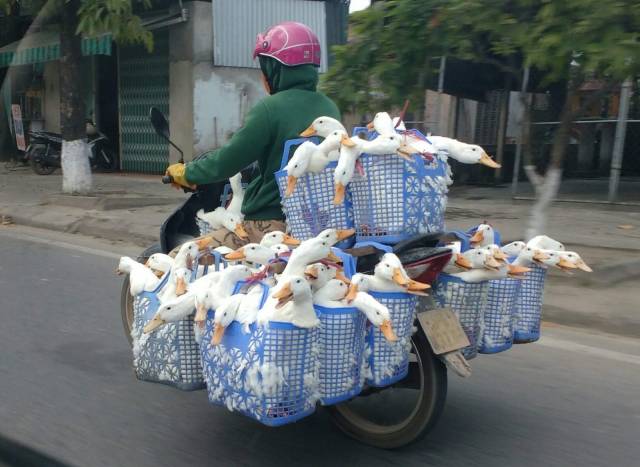 daily picdump weekend edition 62 pics 29.html - 62 HD Photos | Premium Gallery 2018