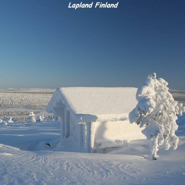 daily picdump weekend edition 62 pics 29.html - 62 HD Photos | Premium Gallery 2018