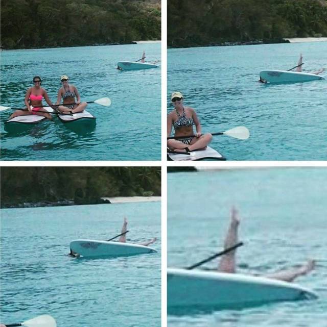 Daily Picdump [WEEKEND EDITION]