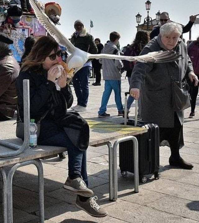 daily picdump weekend edition 62 pics 29.html - 62 HD Photos | Premium Gallery 2018