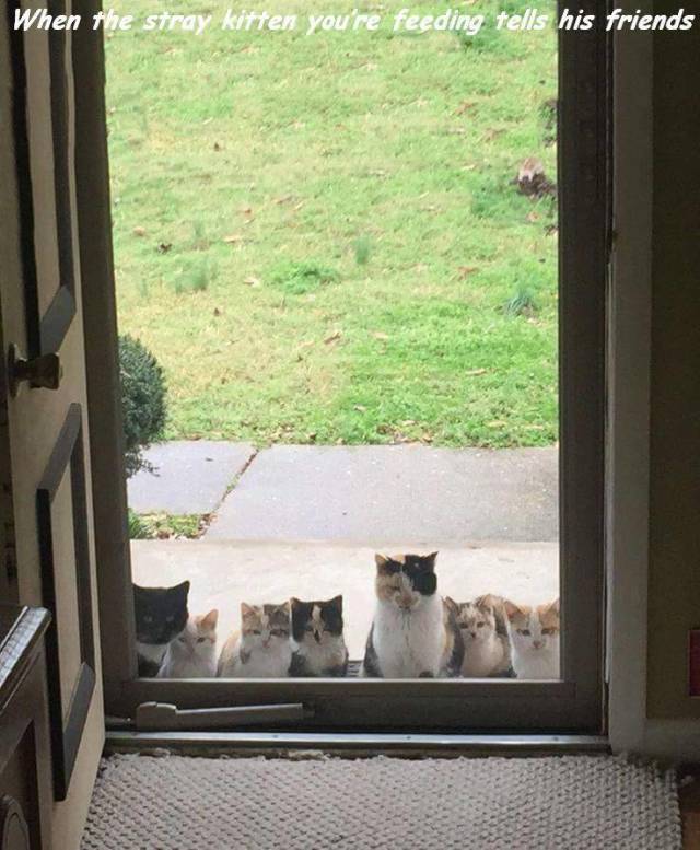 daily picdump weekend edition 62 pics 29.html - 62 HD Photos | Premium Gallery 2018