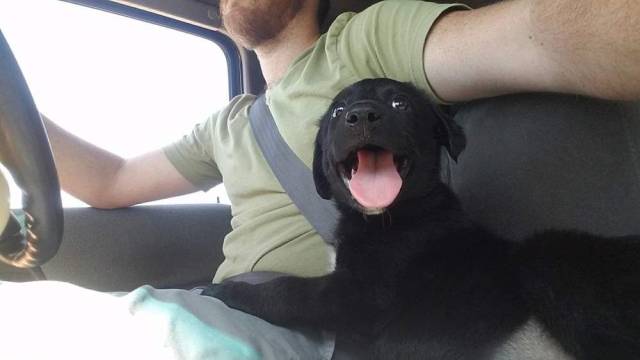 Daily Picdump
