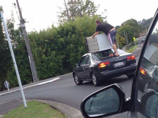 Daily Picdump