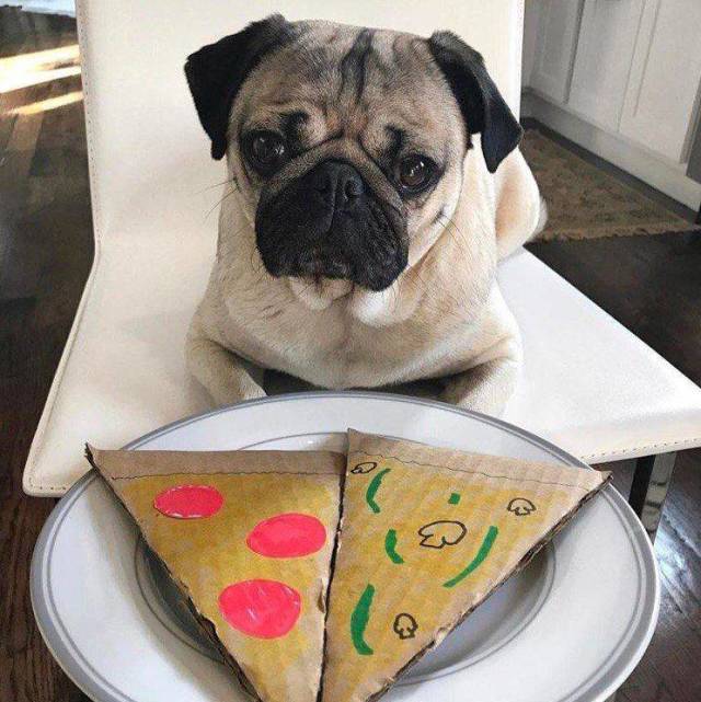 daily picdump 98 pics 46.html - 98 HD Photos | Premium Gallery 2018