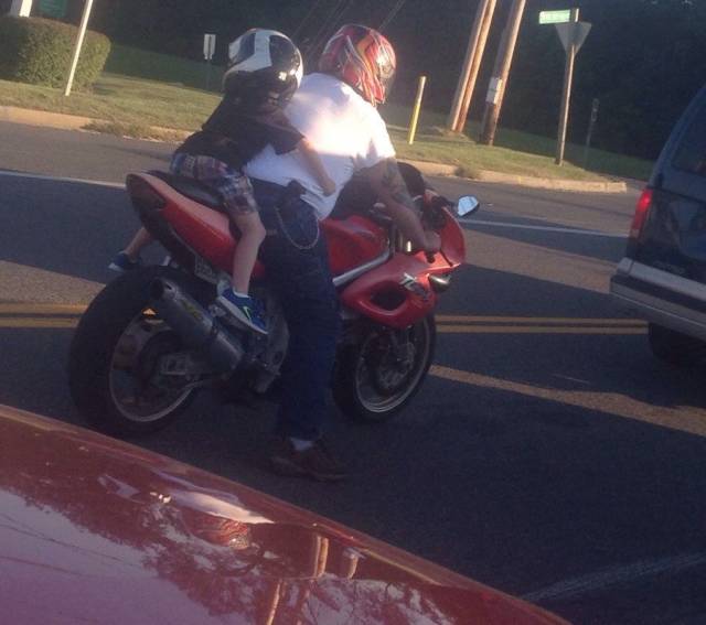 Daily Picdump