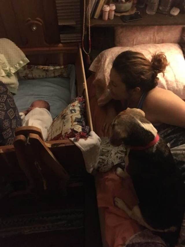 morning picdump 52 pics 17.html - 52 HD Photos | Premium Gallery 2018