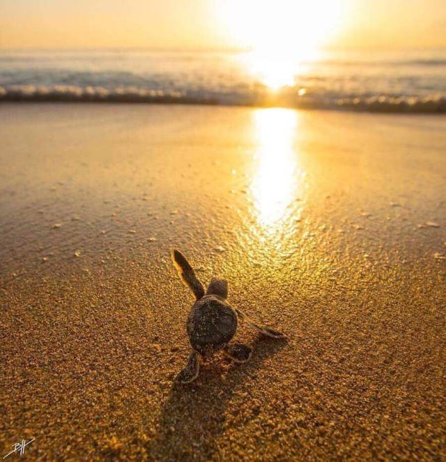 morning picdump 52 pics 17.html - 52 HD Photos | Premium Gallery 2018