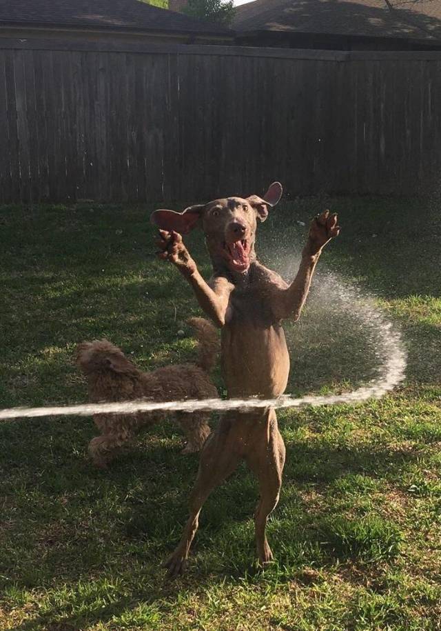 daily picdump 99 pics 28.html - 99 HD Photos | Premium Gallery 2018