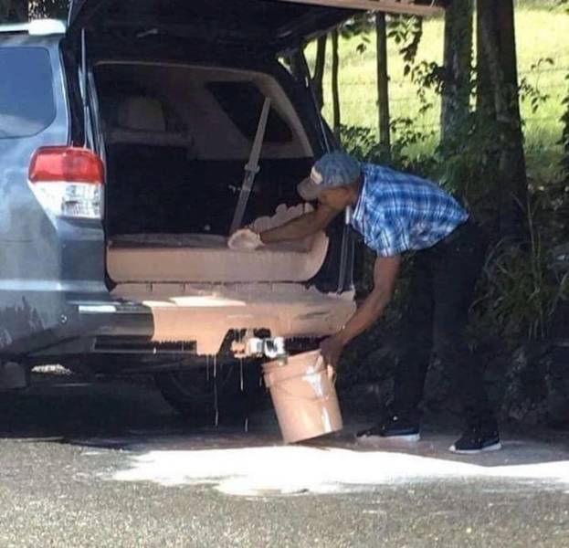 daily picdump 98 pics 36.html - 98 HD Photos | Premium Gallery 2018