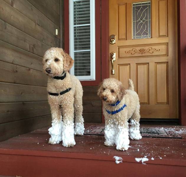 daily picdump 98 pics 36.html - 98 HD Photos | Premium Gallery 2018