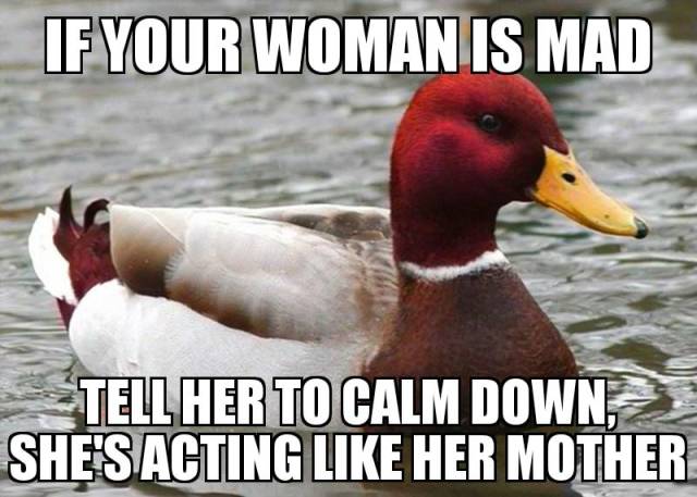 Funny Picdump