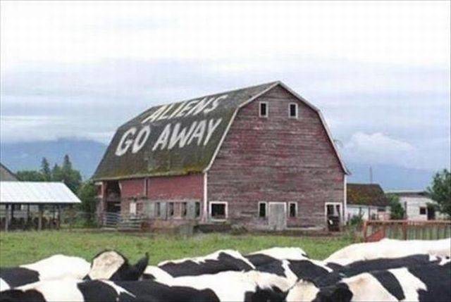 Daily Picdump