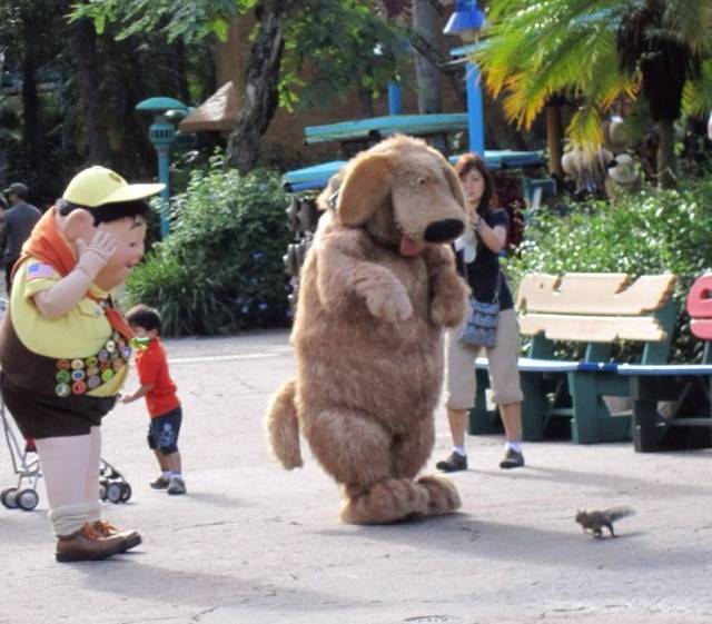 Daily Picdump